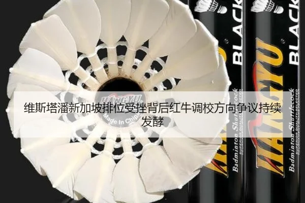 维斯塔潘新加坡排位受挫背后红牛调校方向争议持续发酵（Kaiyun）